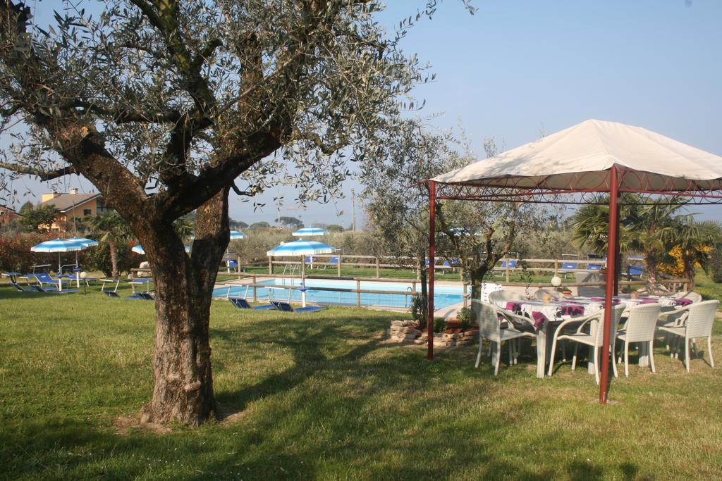 Agriturismo Il Giardino Degli Ulivi Лацизе Экстерьер фото